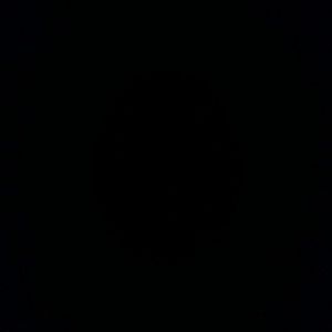 Meet your Posher, Annabelle